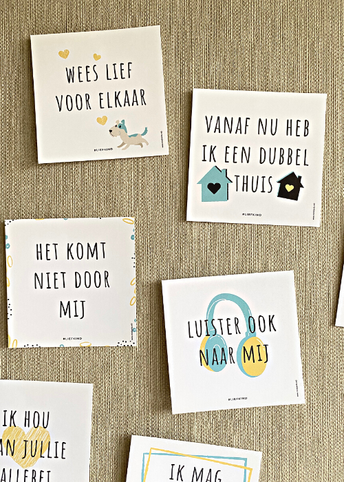 SCHEIDING affirmatie set
