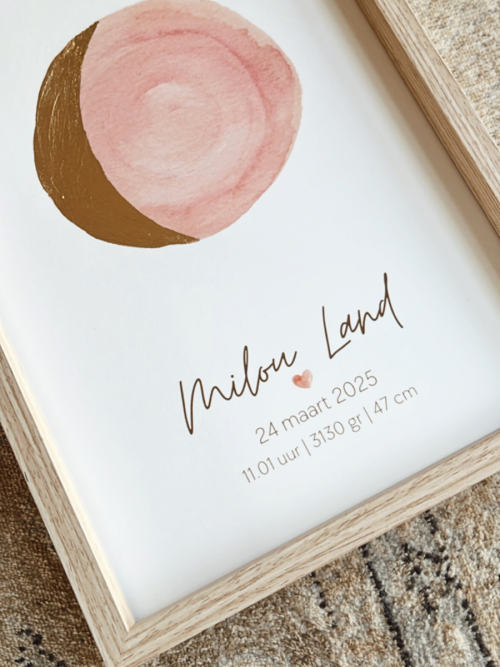 Posters en prints